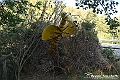 VBS_5639 - C'è un mare di velluto verde! E tu che sognavi di andare lontano... Quanta meraviglia, quì!